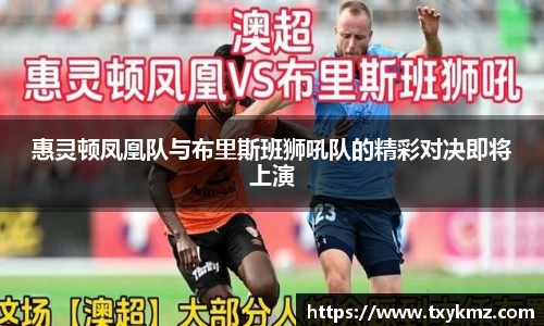 惠灵顿凤凰队与布里斯班狮吼队的精彩对决即将上演